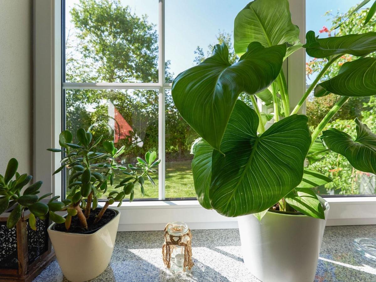 Nice Flat With Sauna Covered Terrace Garden And Tree House For Children Zandt Exteriér fotografie