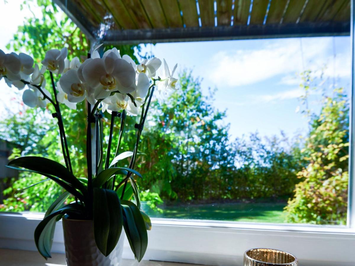 Nice Flat With Sauna Covered Terrace Garden And Tree House For Children Zandt Exteriér fotografie